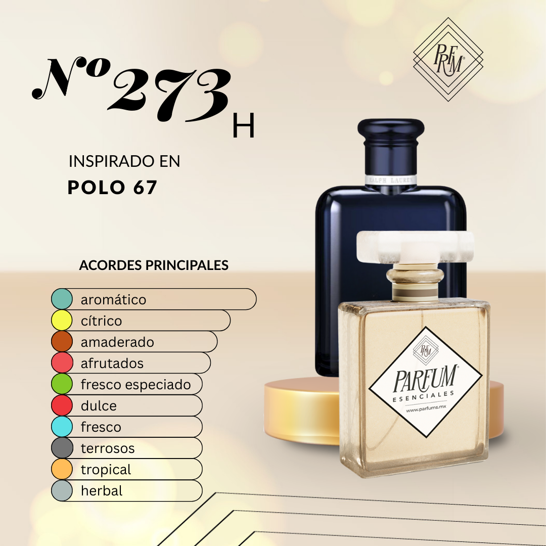 273H Tipo POLO 67 MAN