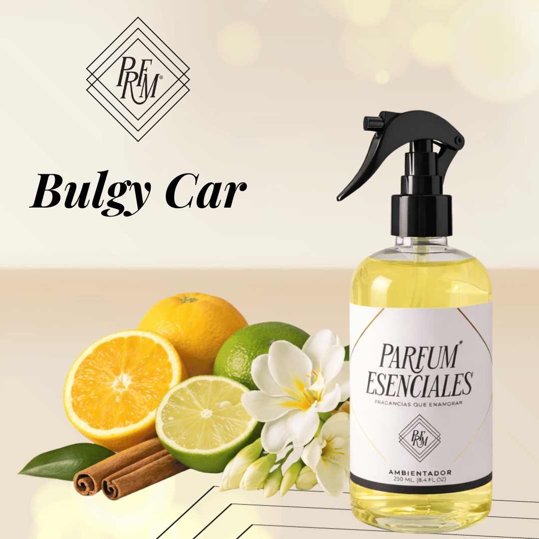 AMBIENTAL BULGY CAR