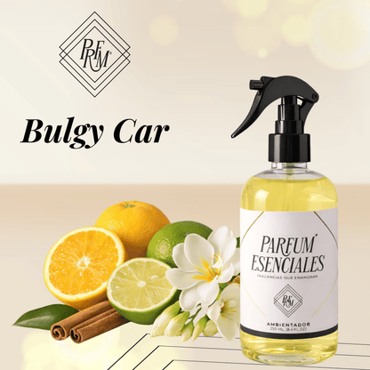 AMBIENTAL BULGY CAR