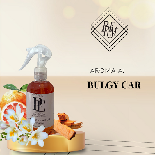 AMBIENTADOR  BULGY CAR