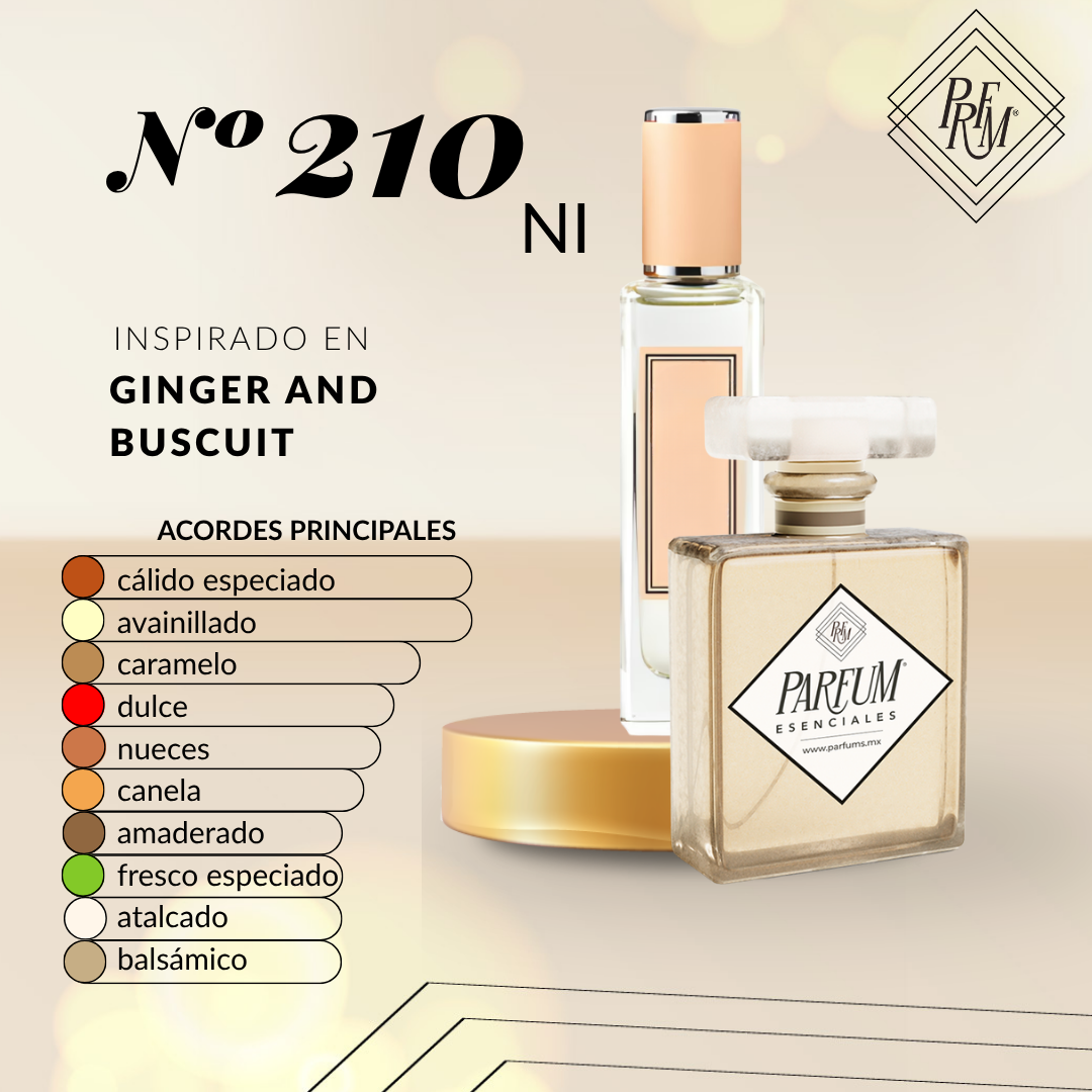 210NI- inspirado en GINGER BUISCUIT FEM