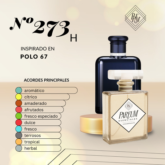 273H Tipo POLO 67 MAN