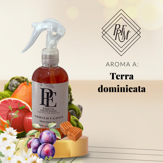 AMBIENTADOR INSPIRADO EN TERRA DOMINICATA