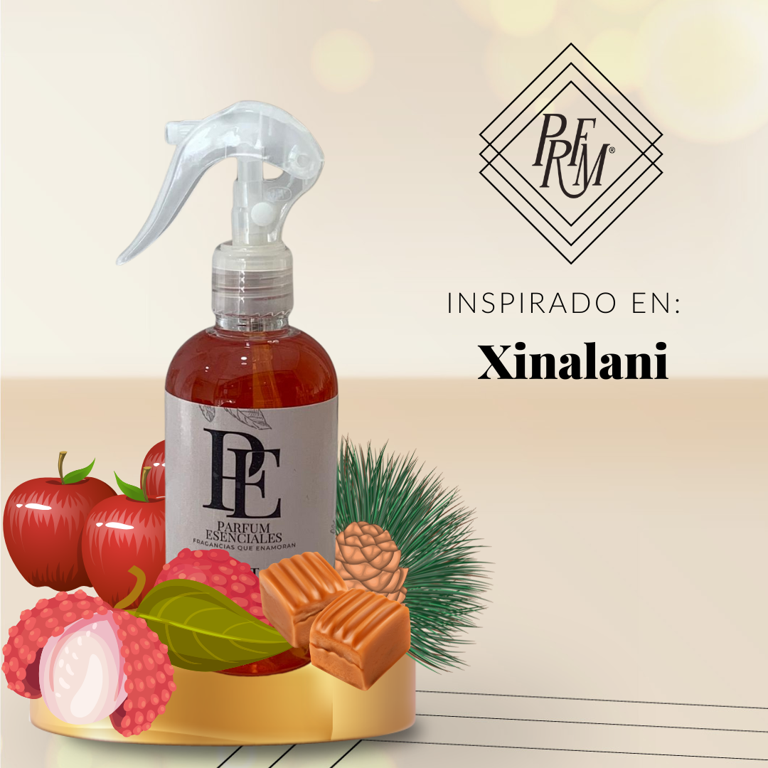 AMBIENTADOR INSPIRADO EN XINALANI