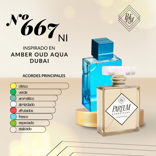 667NI- Inspirado en AMBER OUD AQUA DUBAI