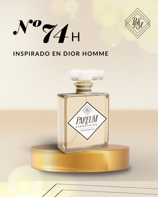 74H-Inspirado En-DIOR HOMME
