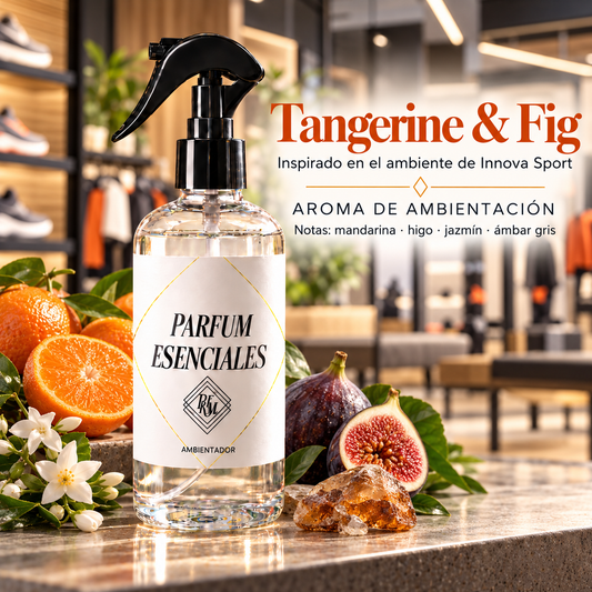 AMBIENTAL INSPIRADO EN INNOVA SPORT