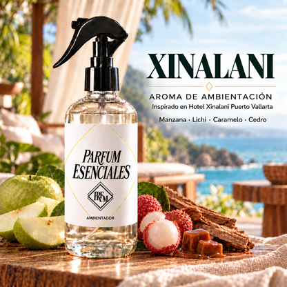 AMBIENTAL INSPIRADO EN XINALANI