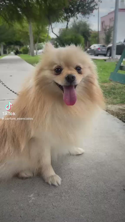 FIFI-PET PERFUME
